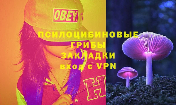Альфа ПВП Зеленокумск