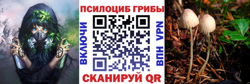 Псилоцибиновые грибы Psilocybine cubensis  Купить закладки  Нерехта 